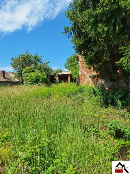 Ein bewachsenes Grundstück zum Wohnen in Radzovce mit sichtbaren Bäumen und einem alten Gebäude.