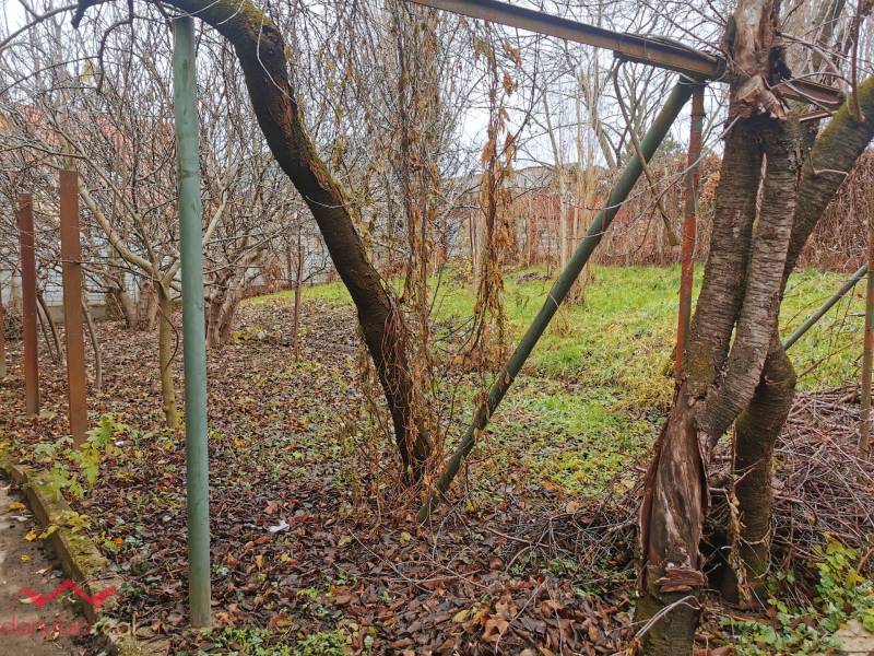 Ein Garten mit abgefallenen Blättern und Weinreben bei einem Einfamilienhaus in Komárno.