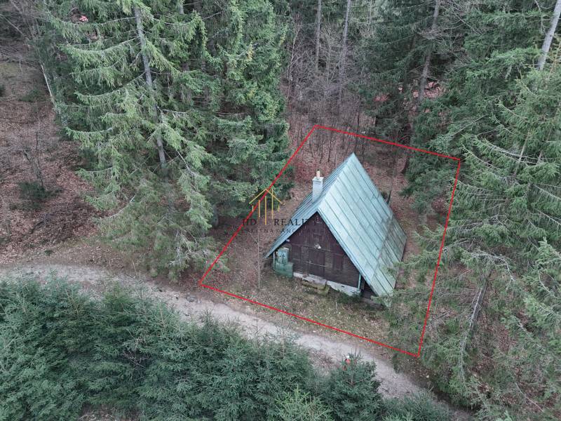 Hütte im Wald in Krpáčovo, Krpáčovo, umgeben von dichten Nadelbäumen und einem Waldweg.