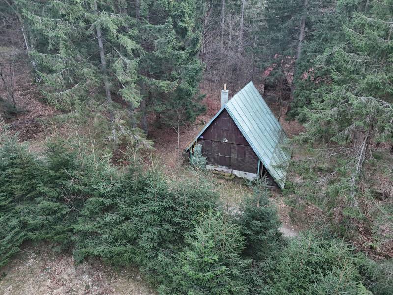 Eine Berghütte in Krpáčovo in der Straße Krpáčovo, umgeben von Nadelbäumen.