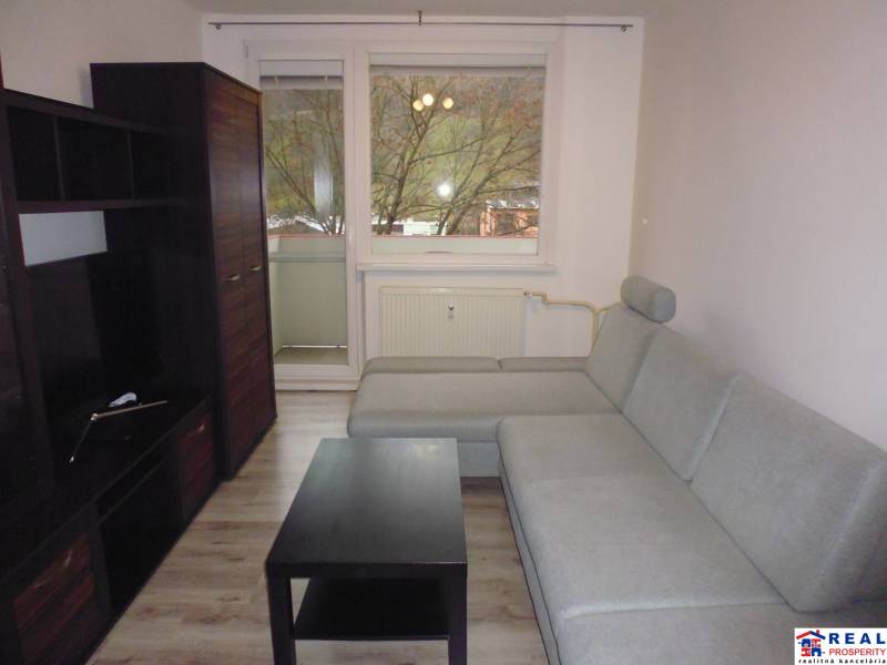 Wohnzimmer in einer 2-Zimmer-Wohnung mit grauem Sofa, dunklen Möbeln und Holzboden.