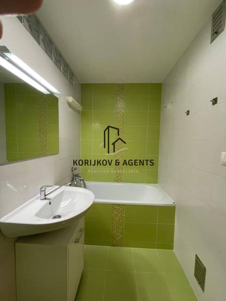 Badezimmer in einer 2-Zimmer-Wohnung mit grünen Fliesen, Waschbecken und Badewanne.