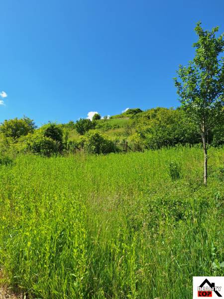 Das heilige Haus in Šíd ist von üppiger grüner Natur und blauem Himmel umgeben.