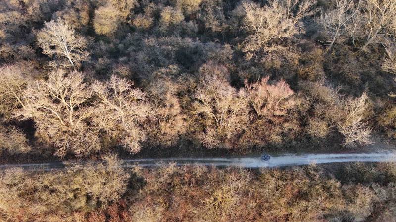 Luftaufnahme eines Waldwegs in den Erholungsgebieten bei Nová Ves nad Váhom.