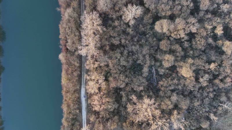 Luftaufnahme des Waldes in Nová Ves nad Váhom bei den Erholungsgrundstücken. Die Straße führt am Fluss entlang.