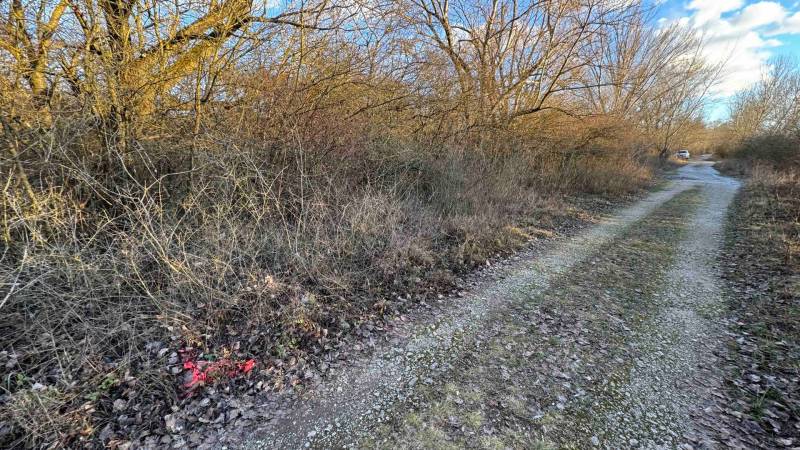 Ein Waldweg in den Erholungsgebieten in Nová Ves nad Váhom, gesäumt von Bäumen und Sträuchern.
