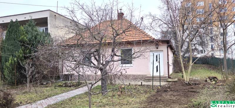 Das Einfamilienhaus in der 29. augusta Straße in Levice ist von Bäumen und einem Garten umgeben.