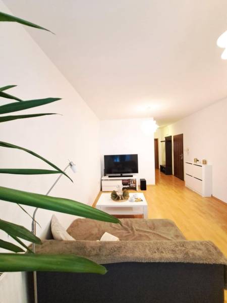 Wohnzimmer in einer 2-Zimmer-Wohnung mit Holzboden, Fernseher und bequemem Sofa.