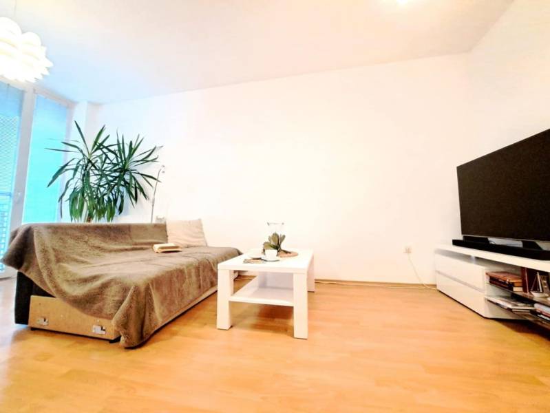 Wohnzimmer in einer 2-Zimmer-Wohnung mit Holzboden, Sofa und Fernseher.