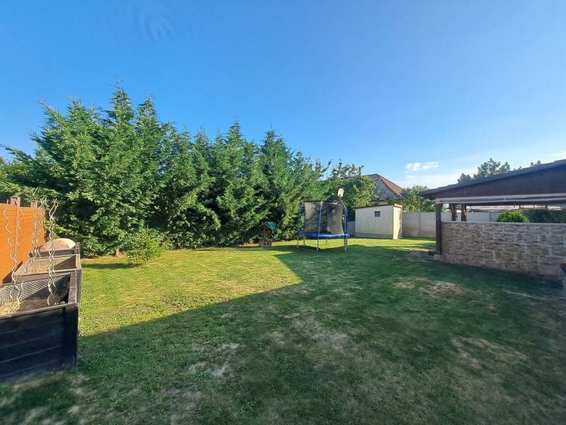 Der Garten eines Einfamilienhauses in Čierny Brod mit Rasen, Trampolin und dichten Nadelbäumen.