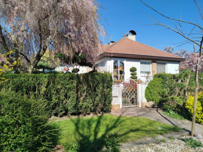 Ein Einfamilienhaus in Šaľa mit gepflegtem Garten, blühenden Bäumen und einer Hecke.