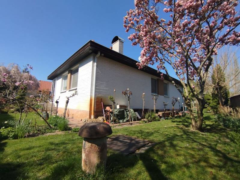 Ein Einfamilienhaus in Šaľa mit einem blühenden Baum und einem gepflegten Garten.