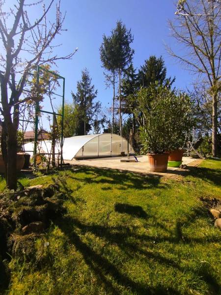 Ein Pool mit Überdachung im Garten eines Einfamilienhauses in Šaľa, umgeben von Bäumen und Sträuchern.