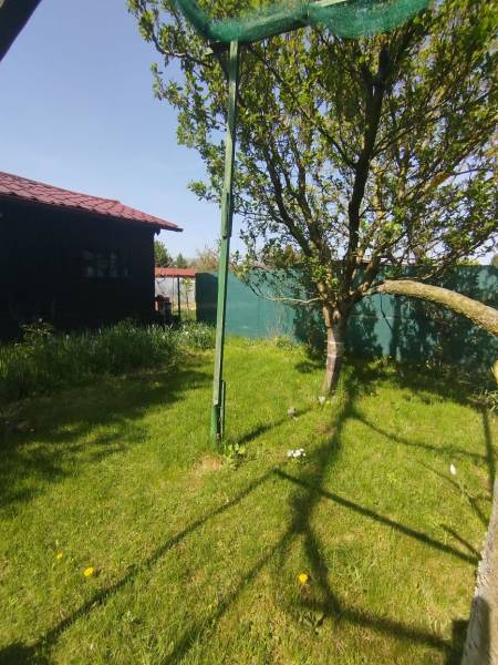 Gärten in Šaľa mit Rasen, Baum und geflochtenem Zaun bei sonnigem Wetter.