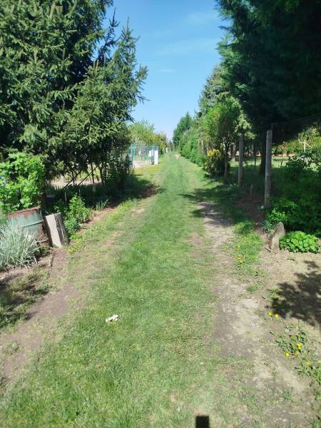 Gärten in Šaľa mit grünem Rasen, gesäumt von Bäumen und Sträuchern.