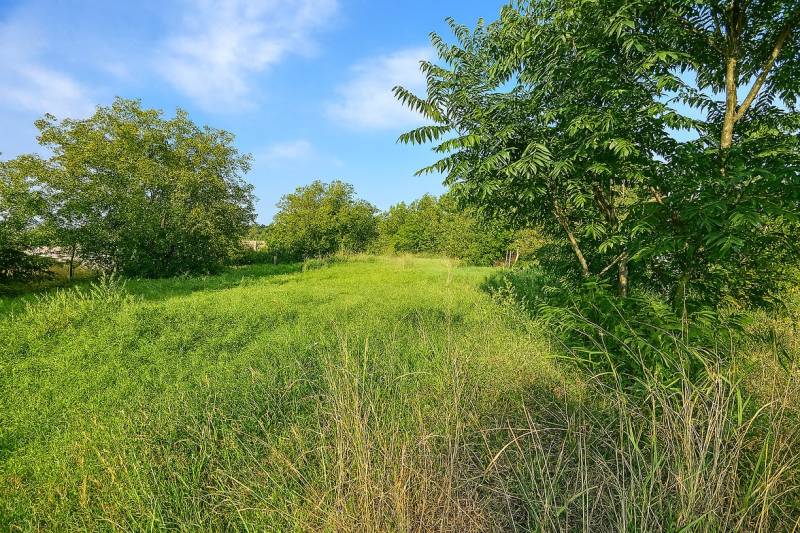 Grünes Baugrundstück in Veľké Zálužie, umgeben von Bäumen und blauem Himmel.