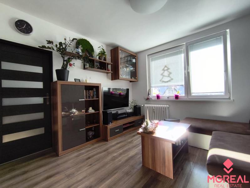 Wohnzimmer in einer Einzimmerwohnung mit Holzboden und hellen Möbeln.