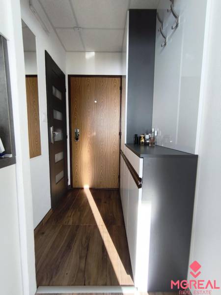 Eingangsbereich in einer Einzimmerwohnung mit Holzboden und einem Schrank.