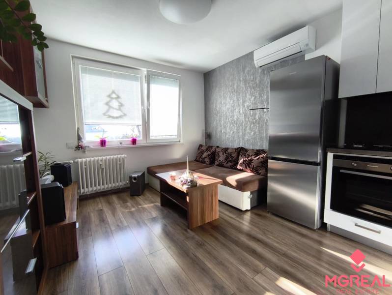 Wohnzimmer einer Einzimmerwohnung mit Holzboden, Sofa und Küchengeräten.