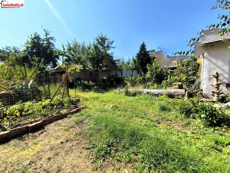 Ein Garten bei einem Einfamilienhaus in Partizánske mit vielfältigen Pflanzen und einer Rasenfläche.