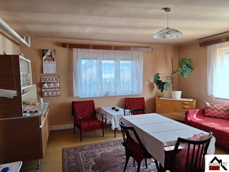 Wohnzimmer in einem Einfamilienhaus mit Retro-Möbeln, dekorativem Boden und Zimmerpflanze.