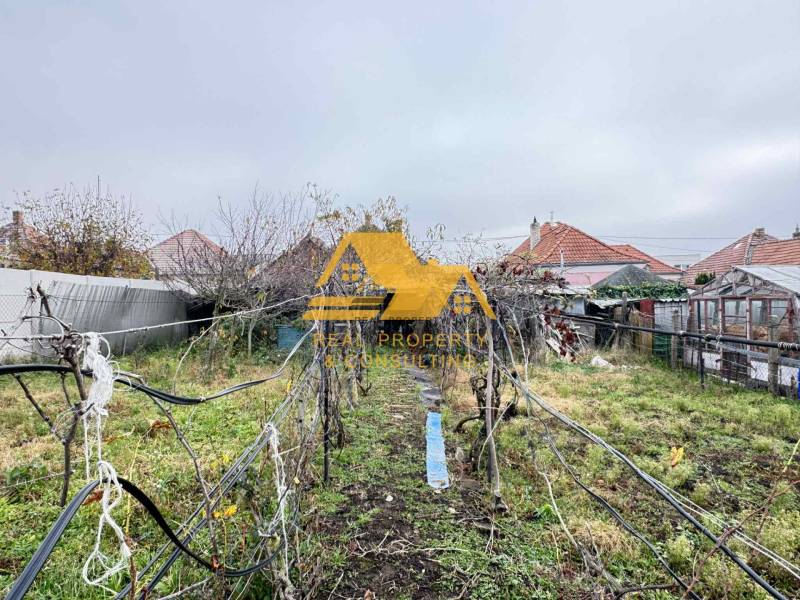 Ein überwucherter Garten hinter einem Einfamilienhaus in Dvory nad Žitavou mit einem Weinberg und einem Schuppen.