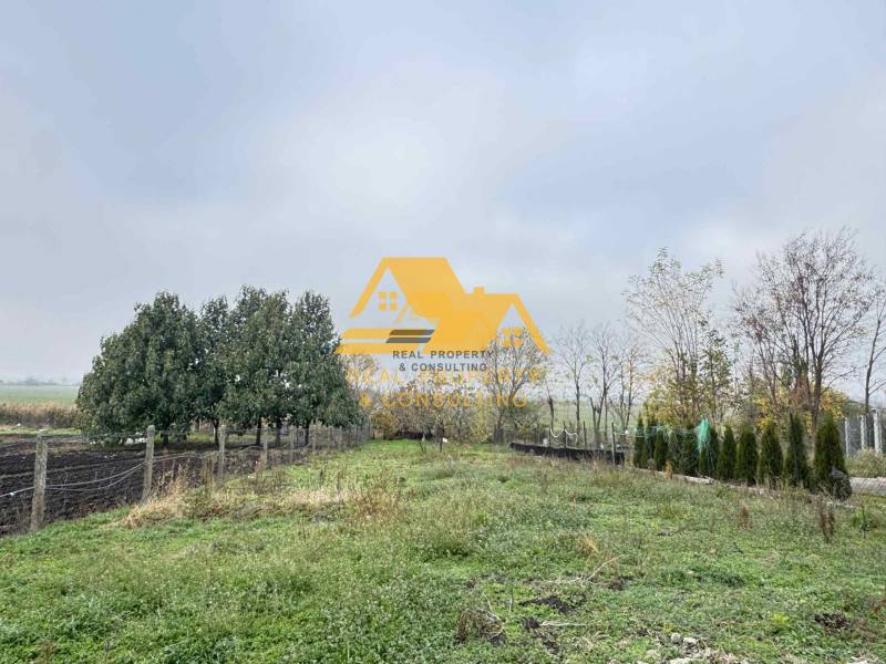 Garten in Dvory nad Žitavou mit Rasen und Bäumen bei einem Einfamilienhaus.