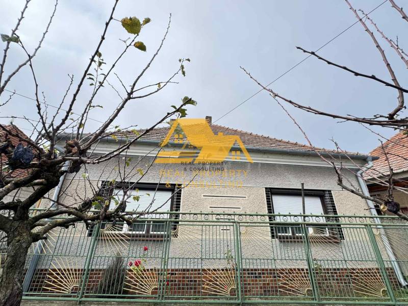 Ein Einfamilienhaus in der Straße in Dvory nad Žitavou mit einem Zaun und einem Baum ohne Blätter.