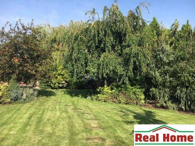 Ein Garten bei einem Einfamilienhaus in Čierna Voda, gesäumt von Bäumen und gepflegtem Rasen.