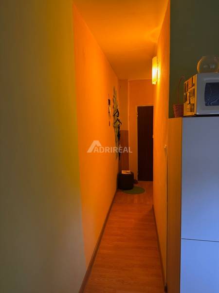 Ein schmaler Flur in einer Einzimmerwohnung mit einem Holzboden und sanfter Beleuchtung.