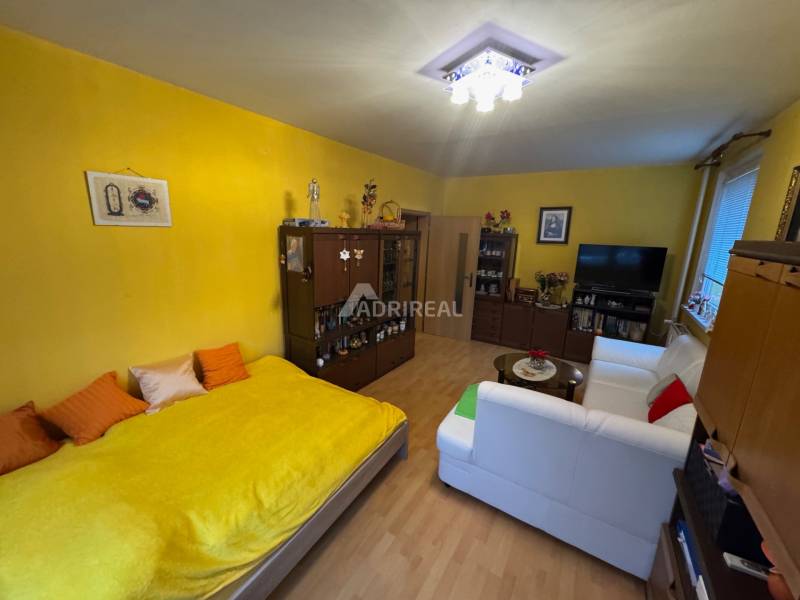 Wohnzimmer in einer Einzimmerwohnung mit weißem Sofa und Boden in Holzoptik.