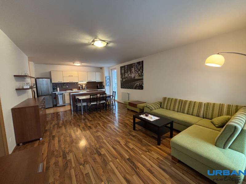 Wohnzimmer mit Küche, grünes Sofa, Küchenzeile und Boden mit Holzdekor.