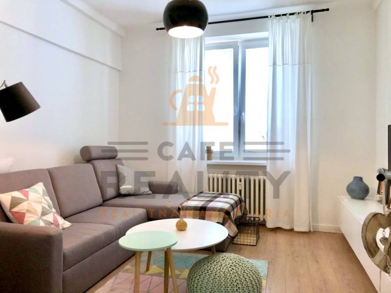 Wohnzimmer in einer 2-Zimmer-Wohnung mit grauem Sofa und Holzboden.