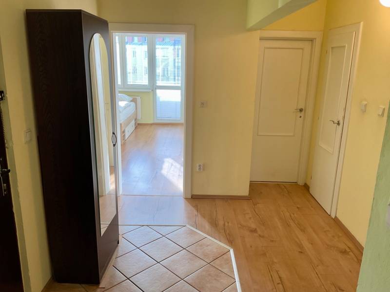 Der Flur in der 3-Zimmer-Wohnung mit einem Boden in Holzoptik und einem Einbauschrank.