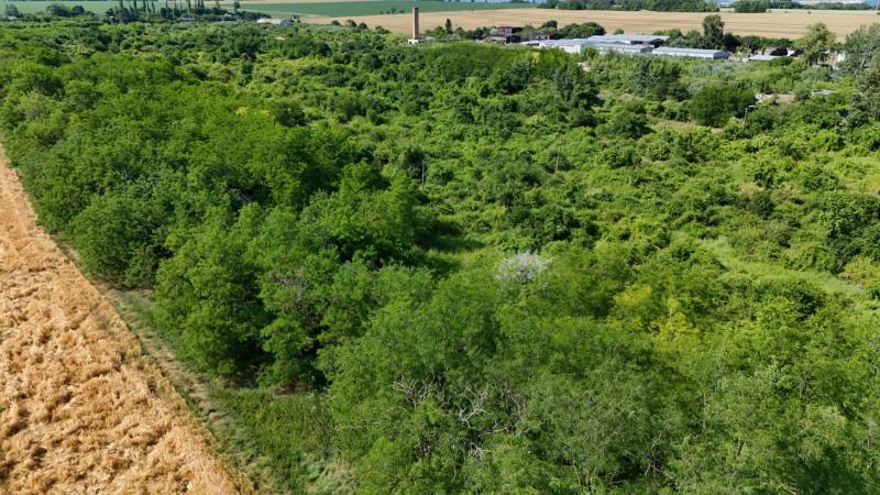 Wiese und Waldgrundstück in Ivanka pri Nitre, umgeben von Grünflächen und landwirtschaftlichen Flächen.