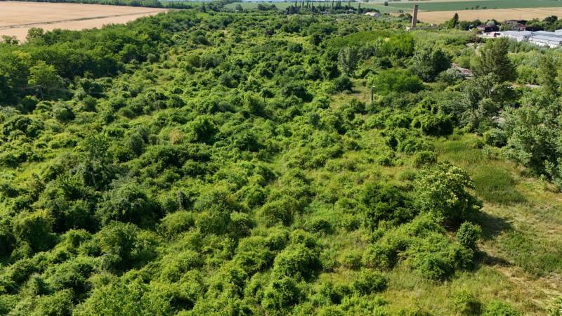 Grün bedeckt ausgedehnte Grundstücke - Gewerbe in Ivanka pri Nitre, umgeben von Feldern und Bäumen.