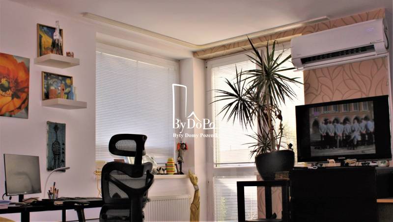 Wohnzimmer in einer Einzimmerwohnung mit Klimaanlage, Fernseher und Zimmerpflanze.