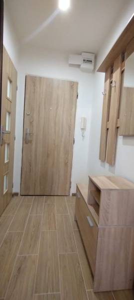 Eingangsflur in einer Einzimmerwohnung mit Holzdekor und praktischem Möbel.