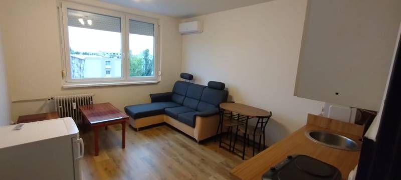 Wohnzimmer in einer Einzimmerwohnung mit Holzboden, Sofa und Tisch.