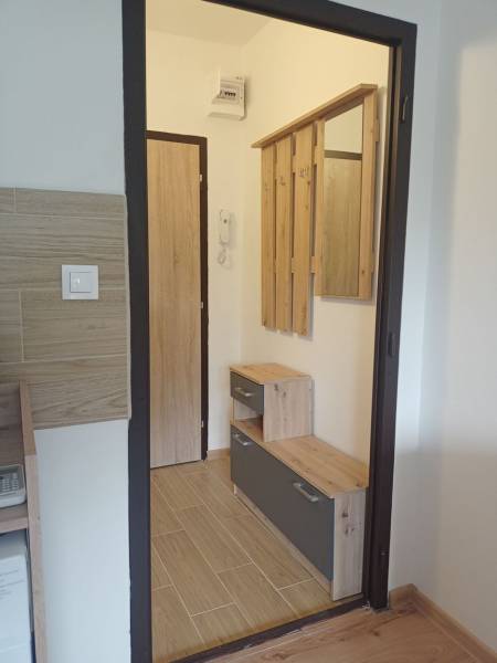 Der Flur in der Einzimmerwohnung mit einem Holzboden und einer Garderobenwand.