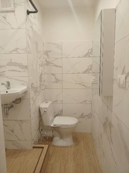 Badezimmer eines Einzimmerapartments mit Toilette, Waschbecken und Boden in Holzoptik.