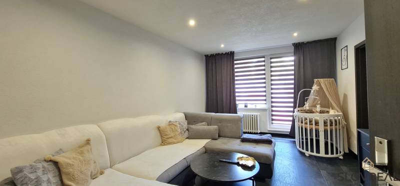 Wohnzimmer in einer Zweizimmerwohnung mit Sofa, Couchtisch und Kinderbett.