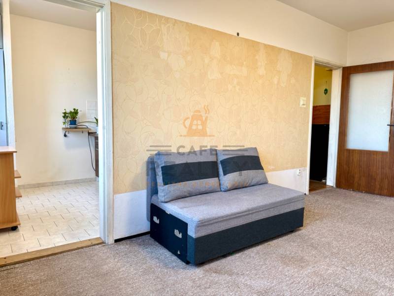 Graues Sofa und Teppich im Zimmer einer Einzimmerwohnung, helle Wände mit Dekor, Eingang zur Küche.