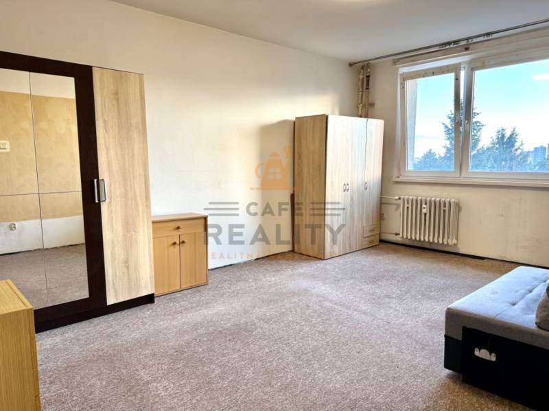 Ein Zimmer in einer Einzimmerwohnung mit Möbeln und Teppich, helle Wände, großes Fenster.