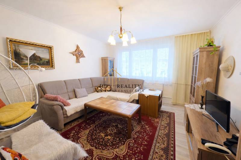 Wohnzimmer in einer 3-Zimmer-Wohnung mit Sofa, rotem Teppich und Deckenleuchte.