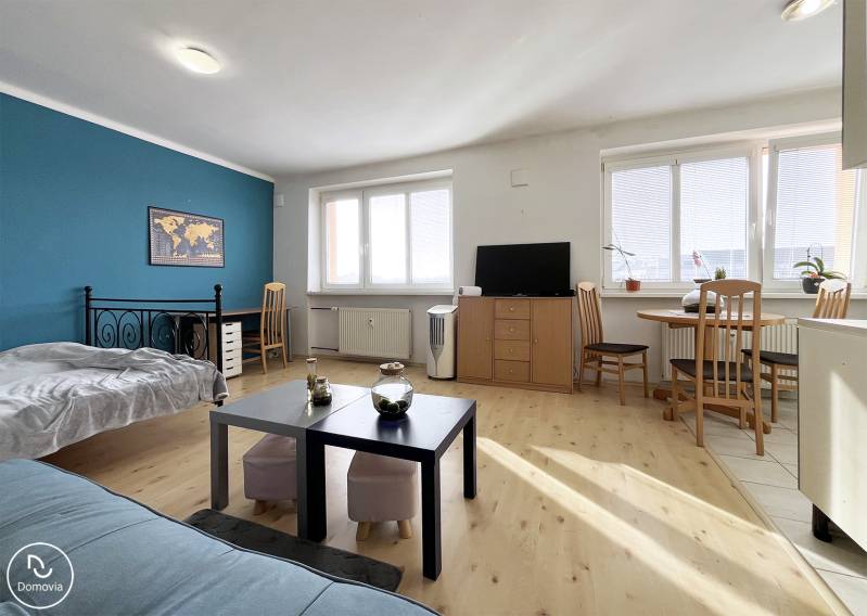 Einzimmerwohnung mit Holzboden, Couchtisch und blauer Wand.