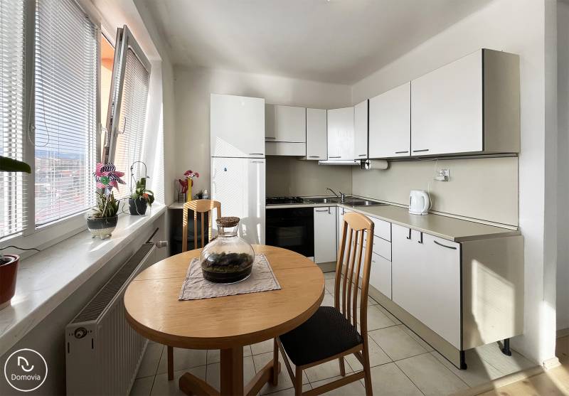 Küche in einer Einzimmerwohnung mit Fenstern, einem Tisch und Pflanzen auf der Fensterbank.