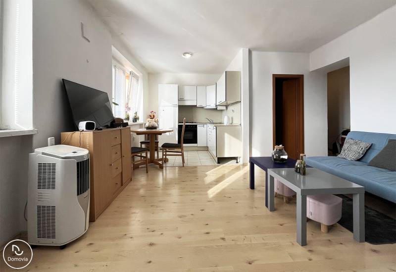 Wohnbereich einer Einzimmerwohnung mit Kochnische und Boden in Holzoptik.