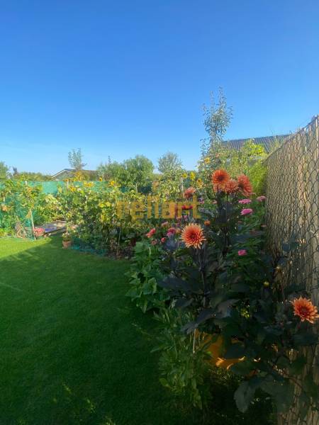 Blumengarten beim Einfamilienhaus in der Radová-Straße in Nová Dedinka, von einem Zaun umgeben.
