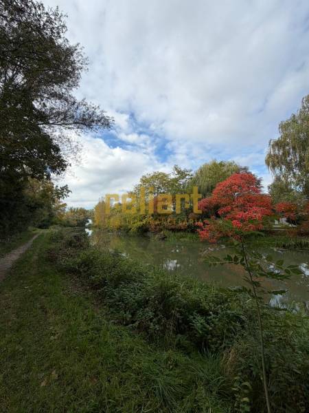 Ein Fluss mit Ufer, Bäumen und einem Weg unter klarem Himmel in Nová Dedinka.